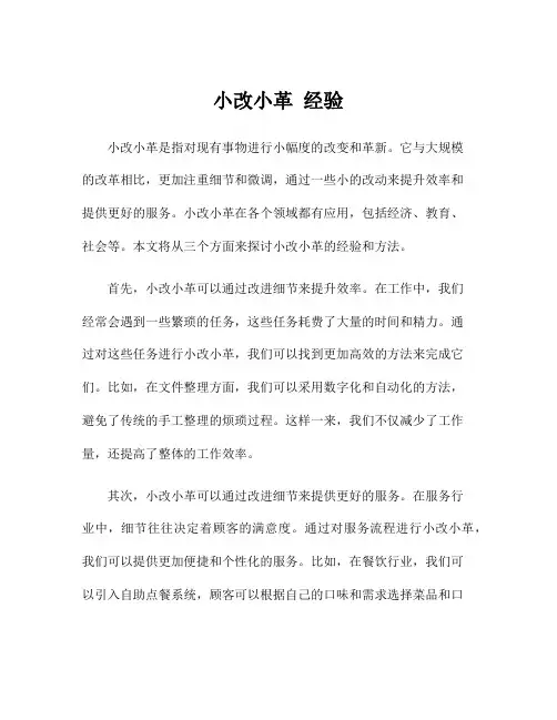 小改小革 经验