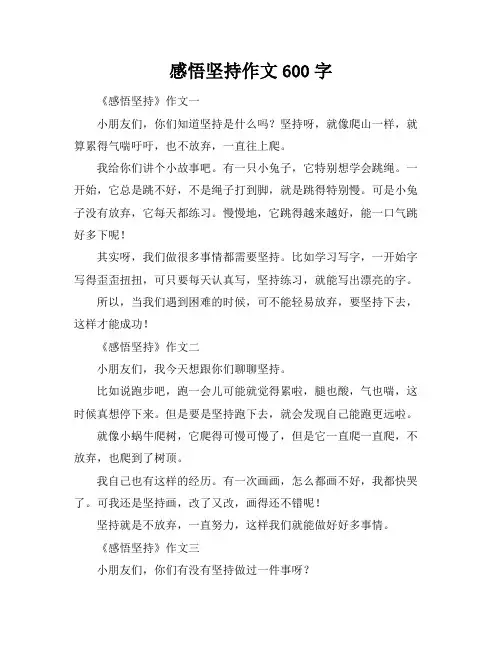 感悟坚持作文600字
