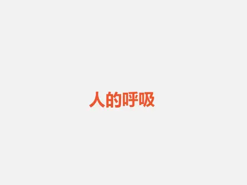 《人的呼吸》PPT优质课件苏教版科学1