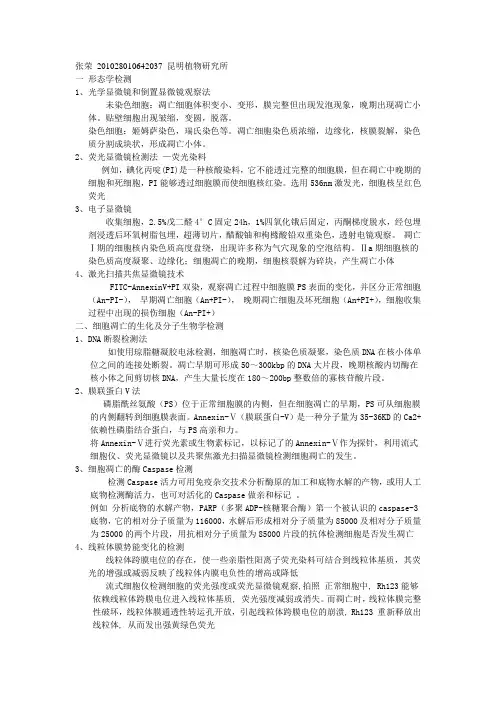 细胞凋亡的检测方法及实验原理
