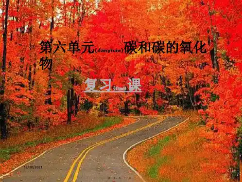九年级化学上册 第六单元 碳和碳的氧化物复习课课件 