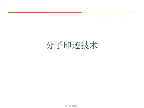 分子印迹技术PPT课件