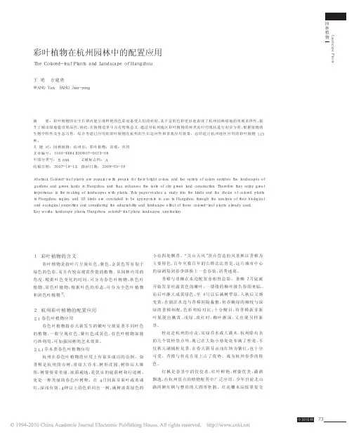 彩叶植物在杭州园林中的配置应用