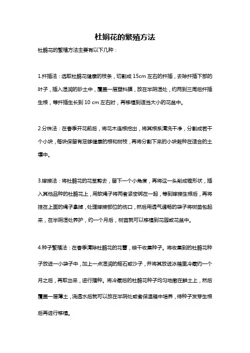 杜娟花的繁殖方法