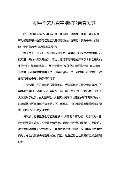 初中作文八百字别样的青春风景