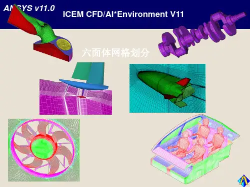 ANSYS ICEMCFD 11 六面体网格划分