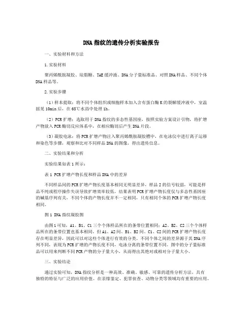 DNA指纹的遗传分析实验报告