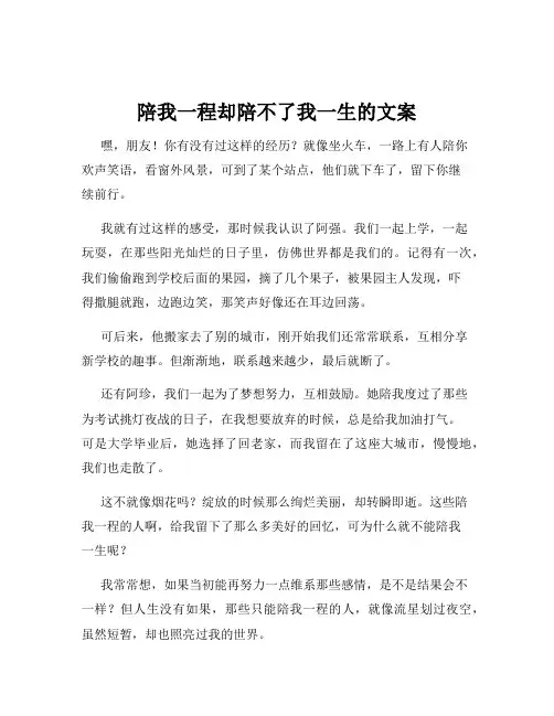 陪我一程却陪不了我一生的文案