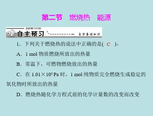 【化学】人教版选修4 第一章 第二节 燃烧热能源