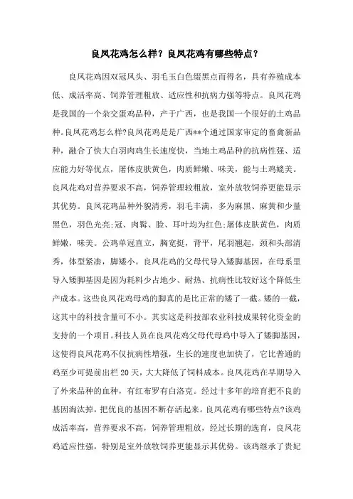 良凤花鸡怎么样？良凤花鸡有哪些特点？