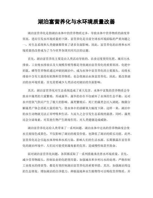 湖泊富营养化与水环境质量改善