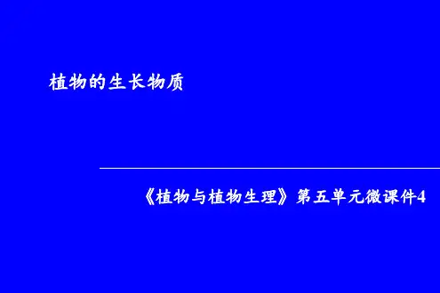 细胞分裂素微课件