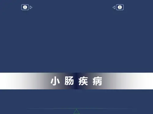 小肠疾病  ppt课件