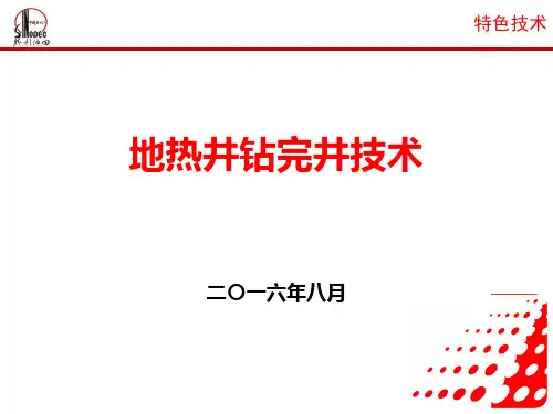 地热井钻完井技术