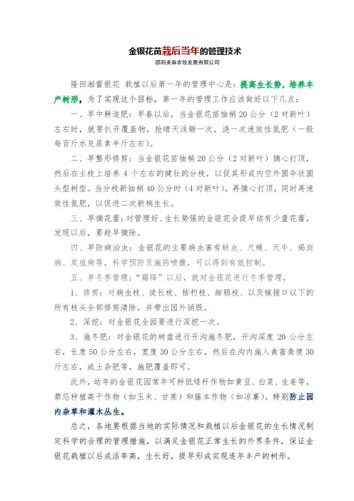 金银花苗栽后当年的管理技术
