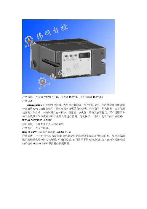 Kromschroder 点火器 IES258-5