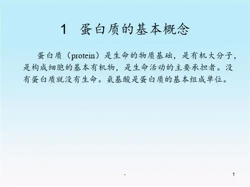 蛋白质基础及检测技术PPT课件