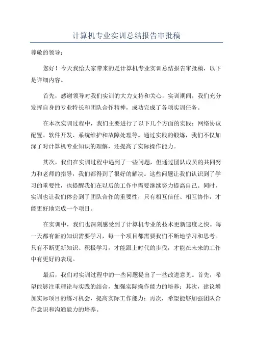 计算机专业实训总结报告审批稿