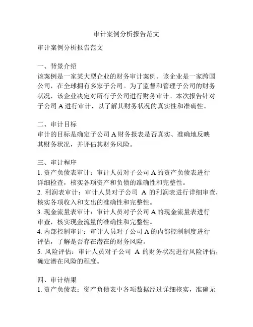 审计案例分析报告范文
