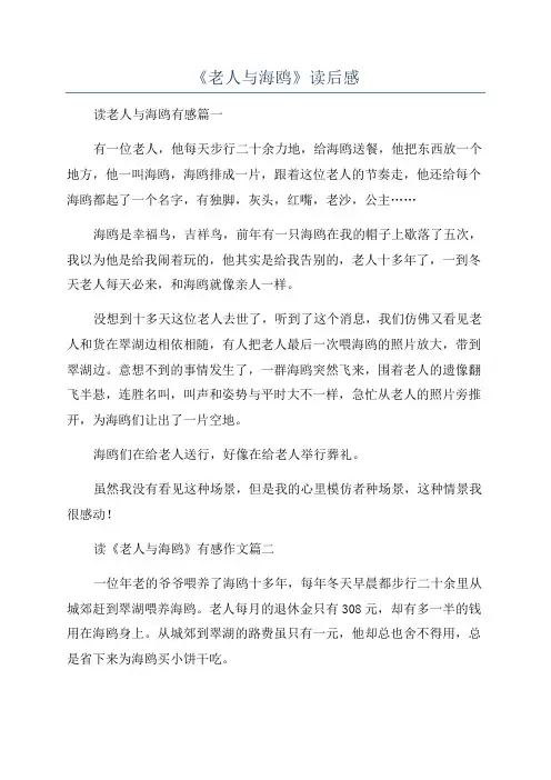 《老人与海鸥》读后感