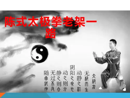 陈式太极拳老架一路(图文详解超经典)