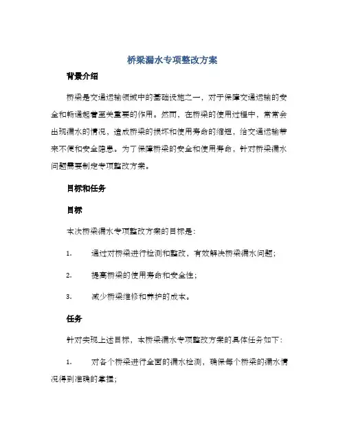 桥梁漏水专项整改方案