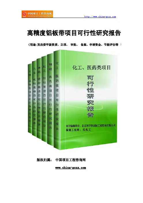 高精度铝板带项目可行性研究报告(专业经典案例)