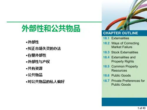 微观经济学(第九版)课件：外部性和公共物品
