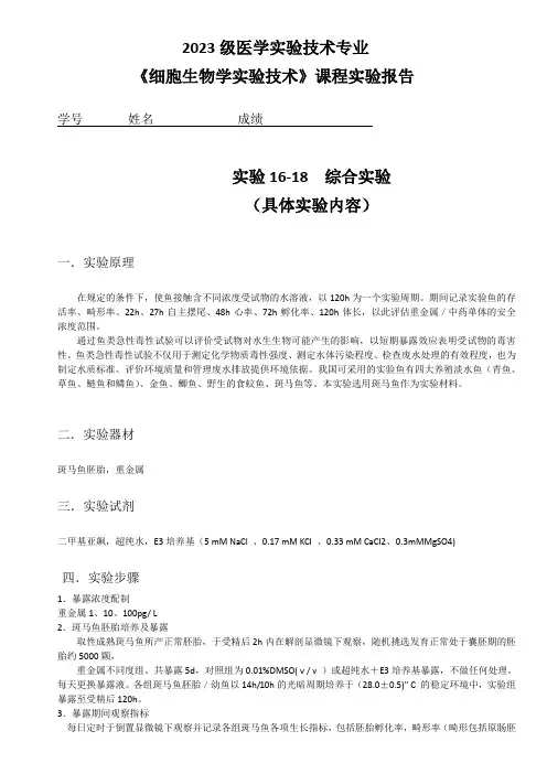 斑马鱼实验报告