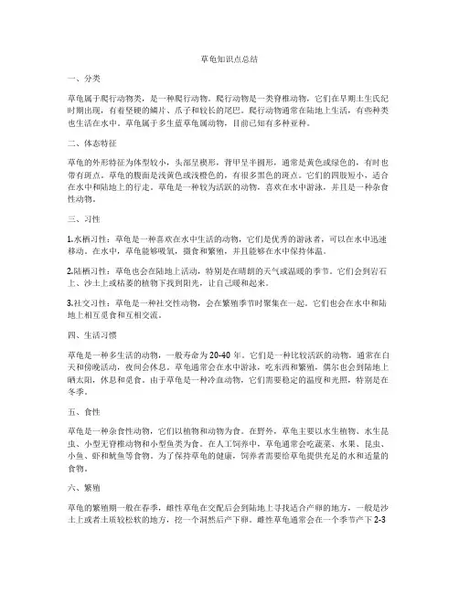 草龟知识点总结