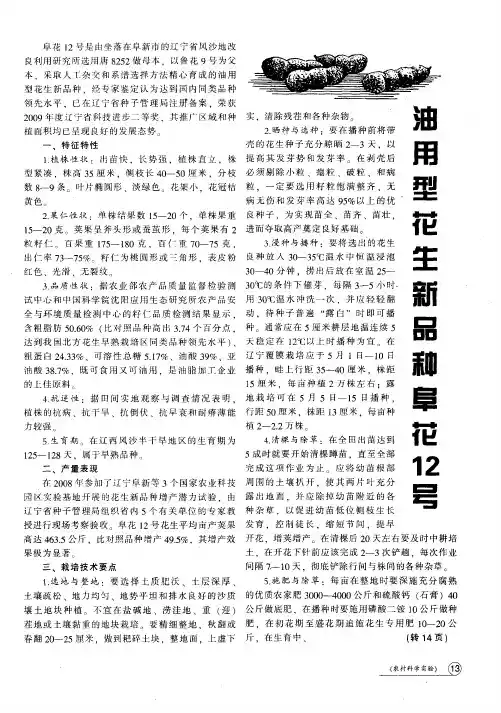 油用型花生新品种花12号