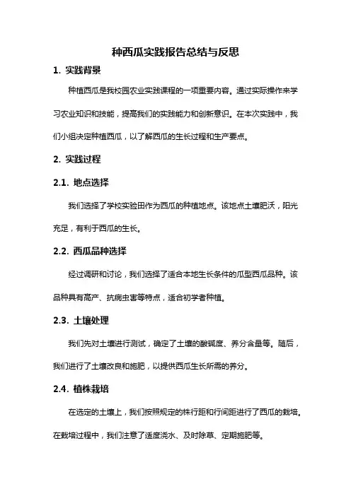 种西瓜实践报告总结与反思