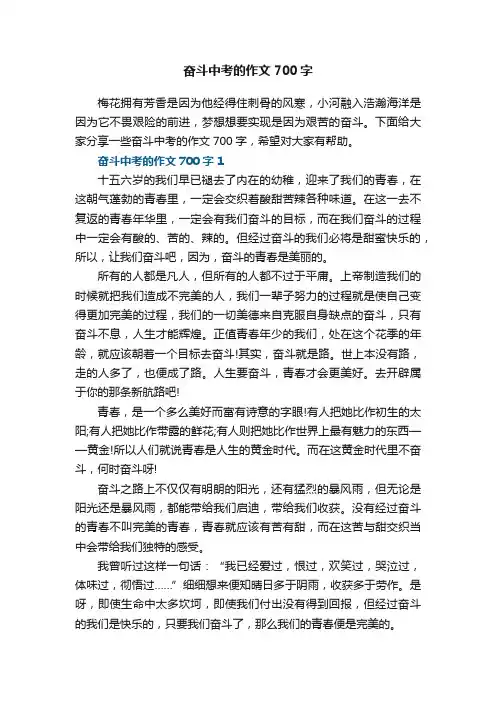 奋斗中考的作文700字5篇