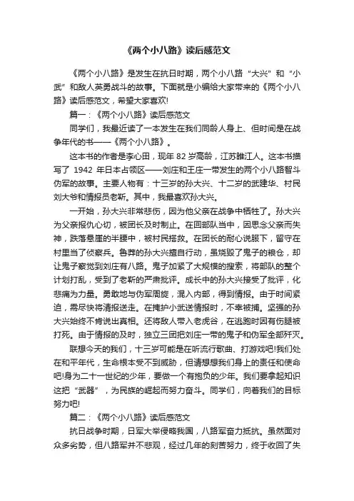 《两个小八路》读后感范文