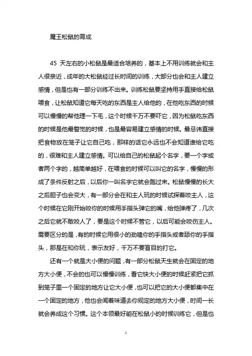 魔王松鼠资料