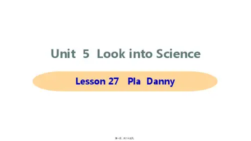新冀教版九年级全一册英语Lesson 27 Planet Danny课件