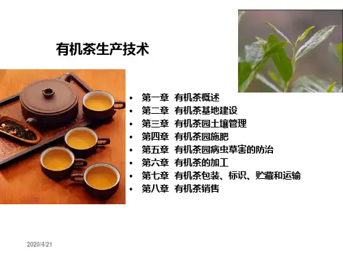 有机茶栽培技术培训讲学