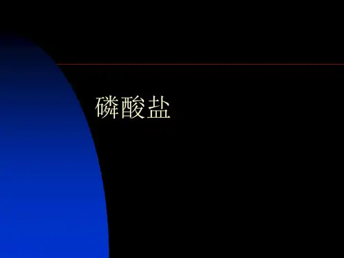 019生产工艺-磷酸盐