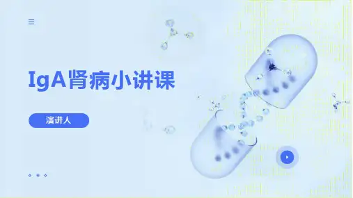 IgA肾病小讲课