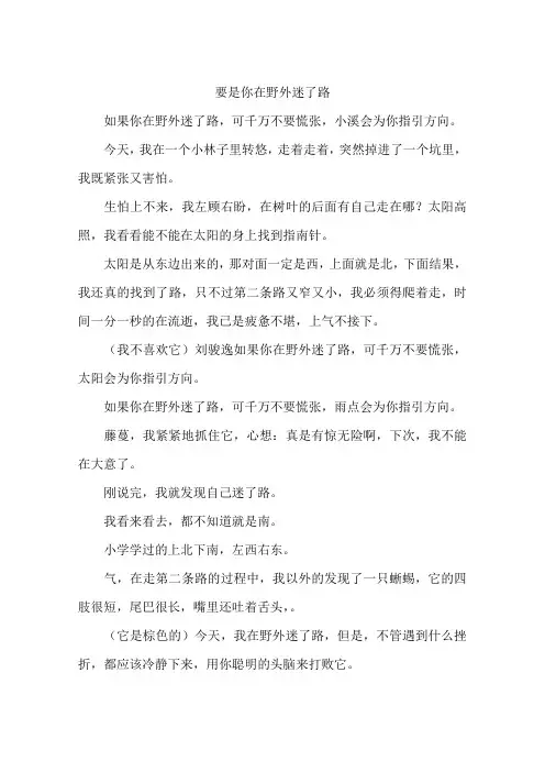 要是你在野外迷了路-作文