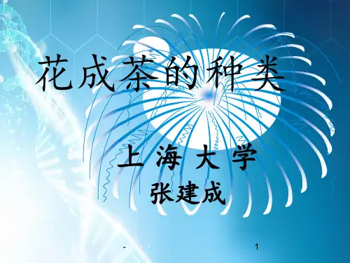 花茶的种类ppt课件