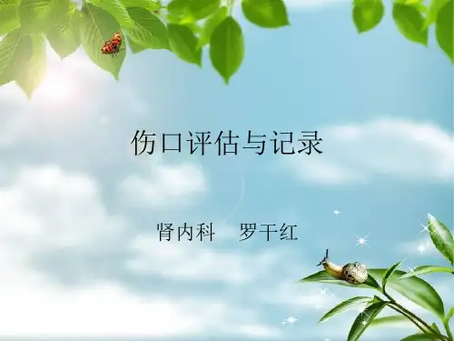 伤口评估与记录