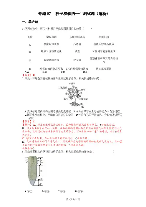 专题07 被子植物的一生-2024年中考《生物》冲刺复习全考点通关(解析版)