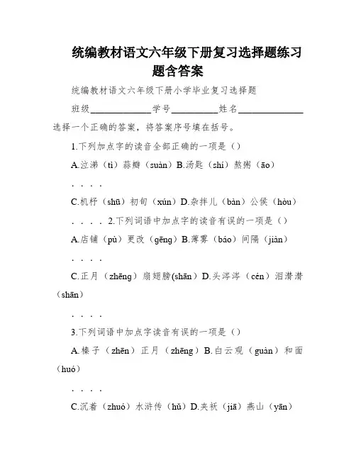 统编教材语文六年级下册复习选择题练习题含答案
