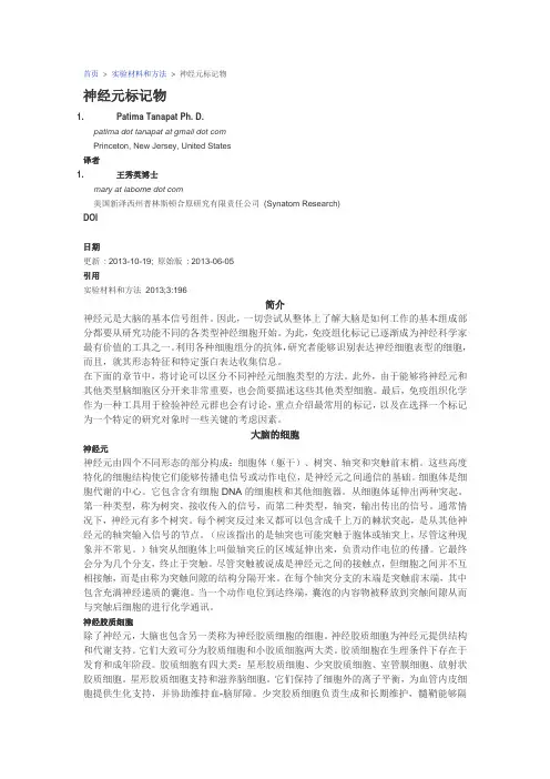 神经元标记物