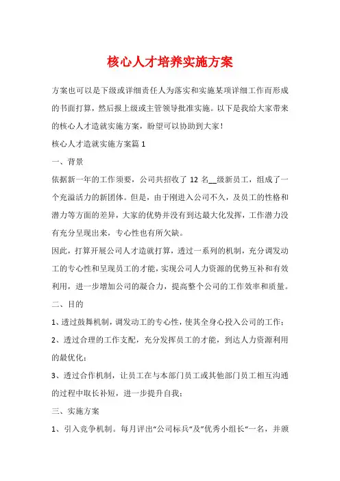 核心人才培养实施方案