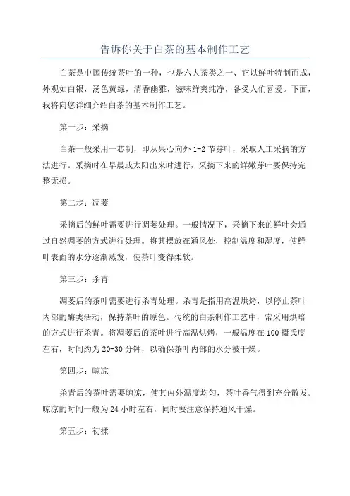 告诉你关于白茶的基本制作工艺