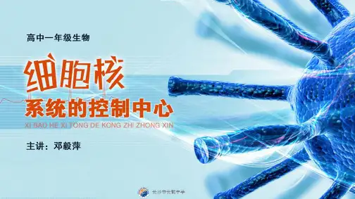 高一生物必修一《细胞核的结构和功能》(课件)(共49张PPT)
