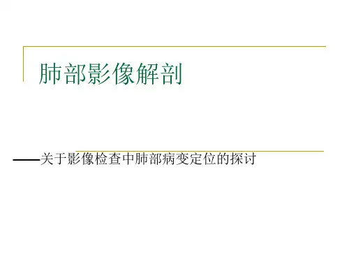 肺部影像解剖
