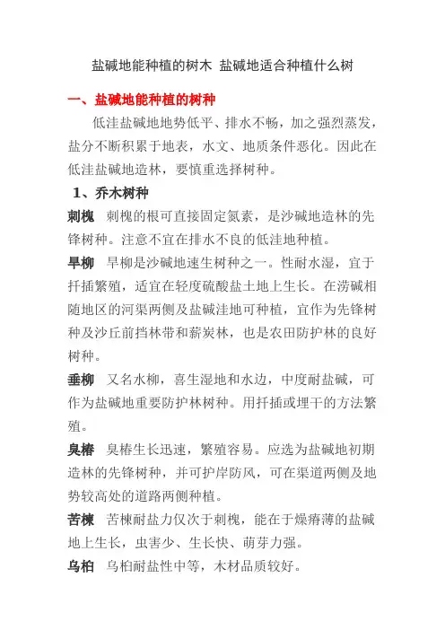 盐碱地能种植的树木盐碱地适合种植什么树